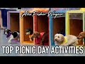 Best Things to do on Picnic Day | UC Davis