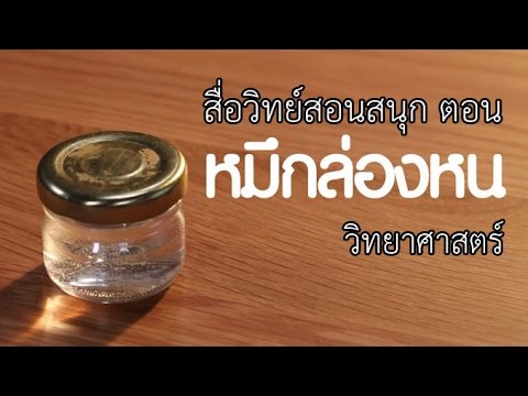 หมึกล่องหน วิทย์ฯ ป.6