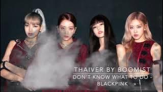 [THAI VER] Blackpink - Don't Know what to do cover by HeavenHarp