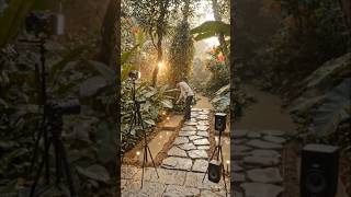 Overgrown Jungle Garden → Luxury Tropical Oasis Transformation 🌺 Timelapse Restoration