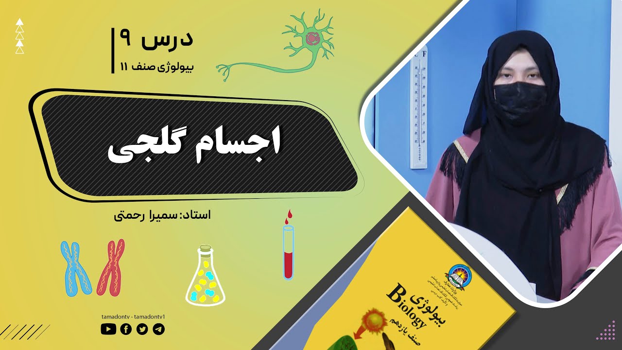 بیولوژی صنف یازدهم- جلسه نهم- موضوع: اجسام گلجی -2-6-1402