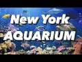 New York Aquarium Coney Island