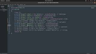 CS F111 | Computer Programming | BITS Pilani | Lab Sheet 4 - Video Recording