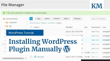 How to Manually Install a Plugin on WordPress from Hosting/Cpanel/File Manager in 2025