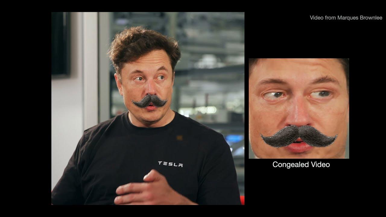 GANgealing GANSupervised Dense Visual Alignment (CVPR 2022 Oral, Best