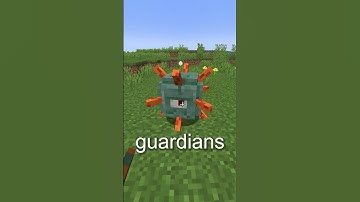 The Secret Of The Ocean Monument In Minecraft...