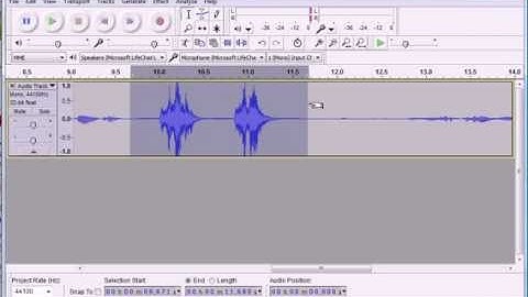 Basic Audacity Editing: Removing Audio Mistakes and Silences