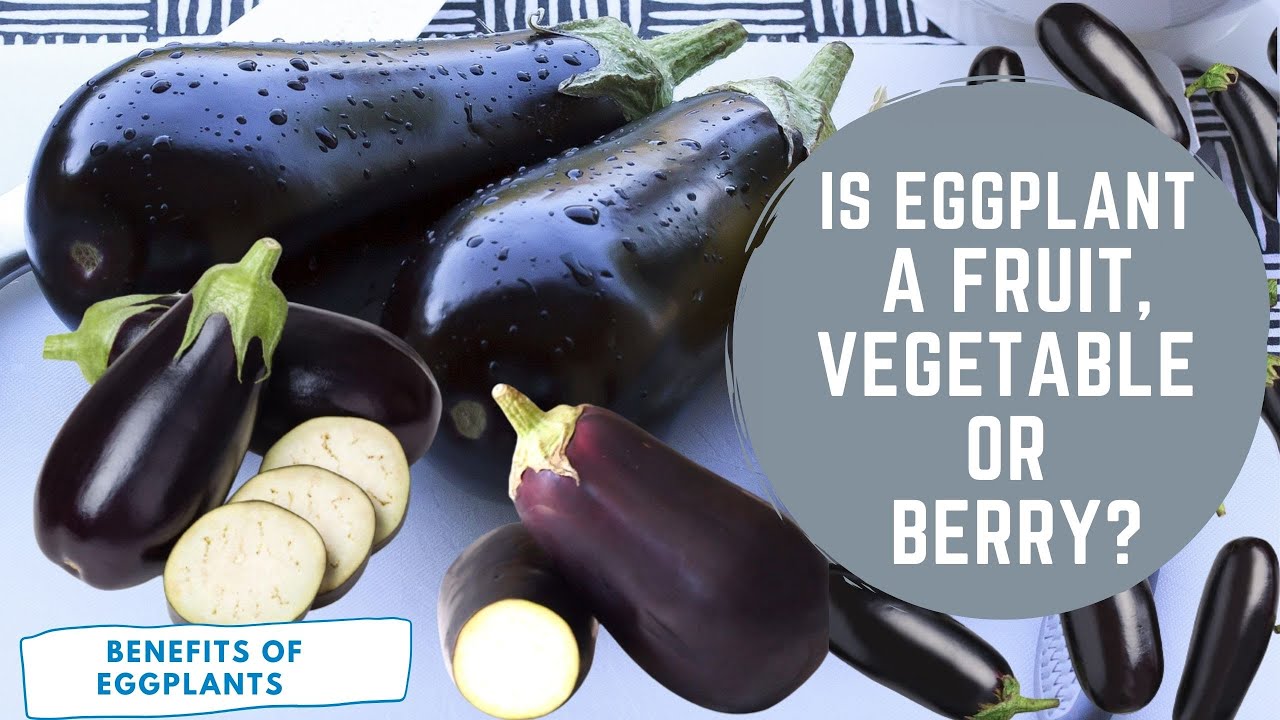 Is Brinjal Fruit Or Vegetable?