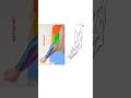 Anatomy for artists - arm muscles breakdown #arttrend #art #artdrawing #artclass #rapidsketch