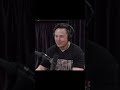 Elon Musk on Simulation Theory