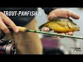 Tfo trout panfish ii series