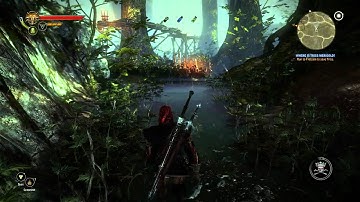 The Witcher 2 Assassins of Kings-Chapter 1-Return to Town-Iorveth Path