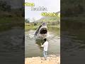 Talab ke ander itna bada shark😱#fishing#minivlog#dailyvlog#vlogs# #explore #villagelife#villagevlog