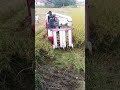 গ্রাম বাংলার প্রকৃতি #shorts #shortvideo #short