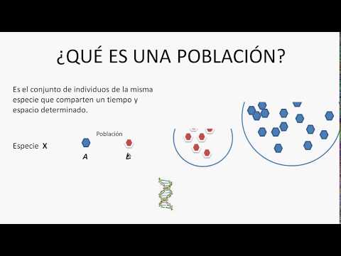 Vídeo: Quina és La Característica D’una Població En L’ecologia Moderna