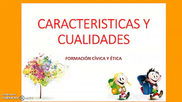 ¿Cuáles son ejemplos de características?