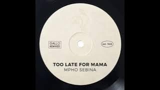 Mpho Sebina - Too Late for Mama