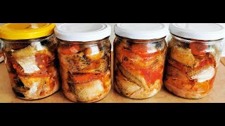 Canned fish in tomato sauce (at home) .
