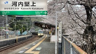 【桜】JR大和路線 221系 区間快速大阪環状線行 河内堅上駅 通過