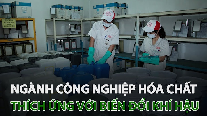 Biến đổi văn hóa tác động đến những gì