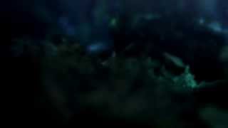 FMX 2014 Trailer Outtakes: Rugbybugs - the Ants