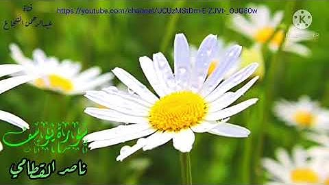 تلاوة عذبة للقارئ ناصر القطامي من سورة يوسف { فلما استيأسو منه خلصو نجيا } تلاوة خاشعة وروعة