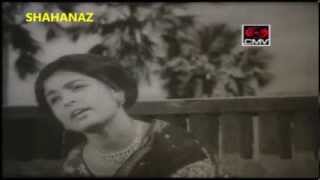 Amar Chotto Bhaiti Bijlee