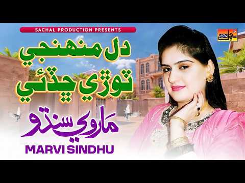 DIL MUNHJI TORI | Marvi Sindhu | New Sindhi Song 2026 | Sachal Production