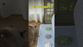 Cat litter splash proof sand control mat #Pestfen #catlover #catproducts #CatLitterMat  #LitterMat