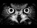 Official - Mark Knight & Wolfgang Gartner 'Conscindo' (Original Club Mix)