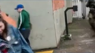 Famous Feds’ tear gas in Portland gets neighbors in addition to protesters Wealth