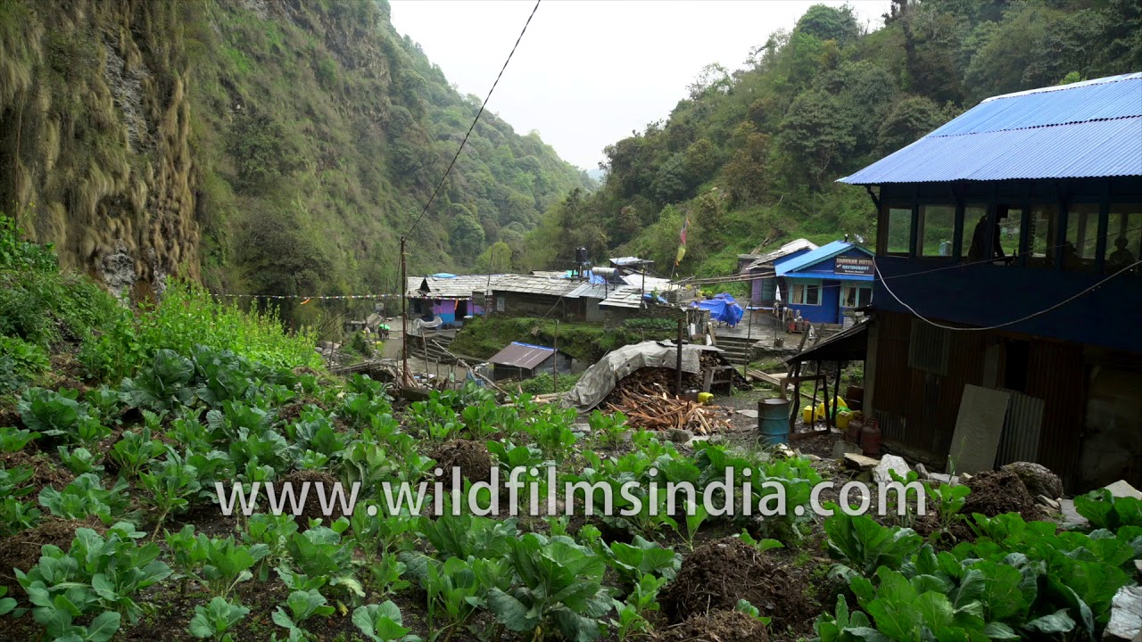 Banthanti a long serpentine village in Nepal catering to trekkers YouTube