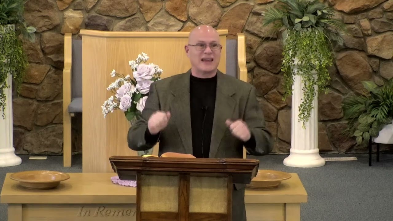 Roman 11-The Olive Tree?