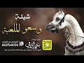 وسعو الملعبة   كلمات واداء بندر الذرفي نجومي