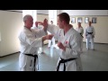 Itosu ryu seminar Denmark 2012 day 1 (2).mp4