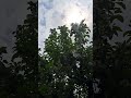 Свет мудрости