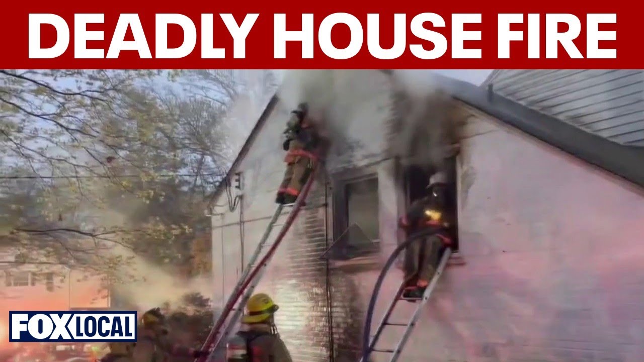 Maryland woman dies while trying to save cat from house fire