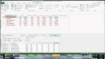 Navigating in Microsoft Project (Part 7)