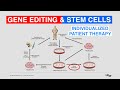 Individualized Patient Therapy, Stem Cells and Gene Editing