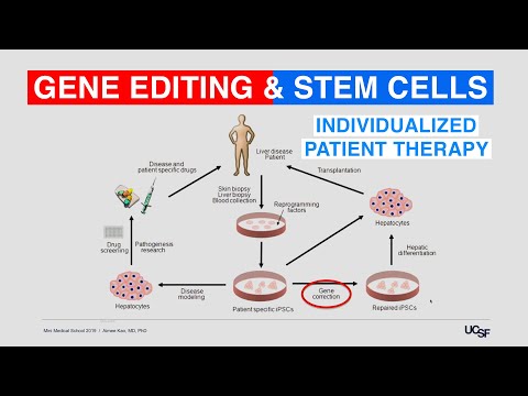 Individualized Patient Therapy, Stem Cells and Gene Editing