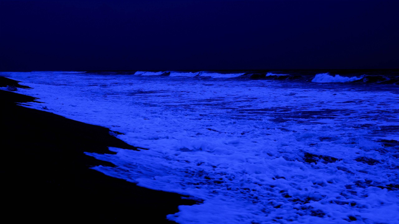 (Без рекламы) Путешествие в глубокий сон — со звуками океана для расслабления в спокойную ночь.