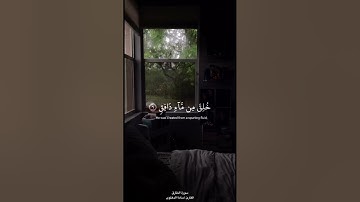 #سورة_الطارق #تلاوة#القارئ أسامة الدهلوي