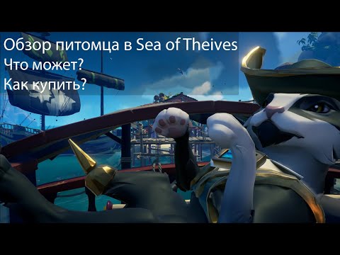 Video: Kedai Premium Sea Of Thieves Akan Menjual Haiwan Peliharaan