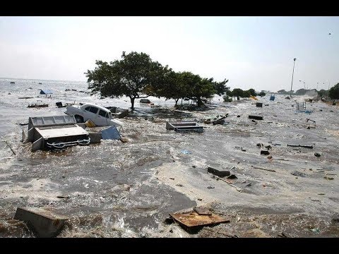 Wideo: Po Tsunami: Miłość Sri Lanki Do Morza - Matador Network
