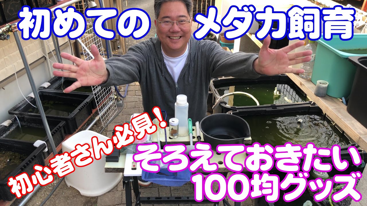 初めてのメダカ飼育 １００均でそろうメダカの便利グッズを紹介します ｂ型おやじ Youtube