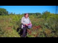 По ягоды - плодопитомник(заброшенные плантации) Кемерово