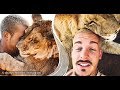 This Guy From Switzerland Quit His Job To Rescue Mutilated Animals