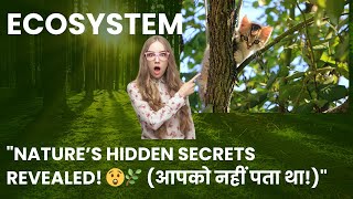 The Hidden Game of Ecosystems | Sandhya Baletiya