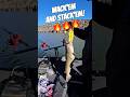 Crazy fast action on Cochiti lake in NM. #shorts #shortsvideo #fishingvideo
