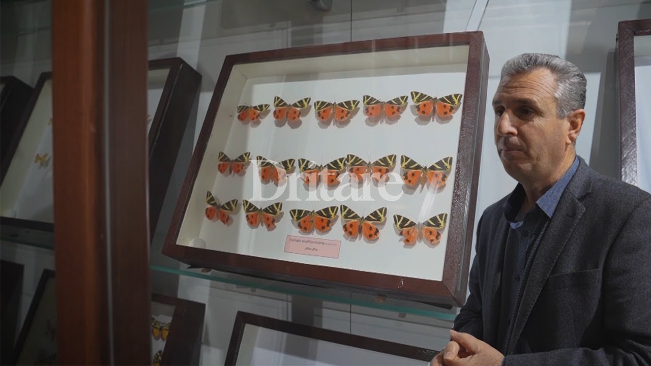 Historia e fluturës që vjen në shtëpi, pas vdekjes së një familjari! | Vlog në Dritare